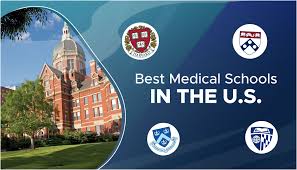 Medical Schools Rankings: Top Universities for Aspiring Doctors